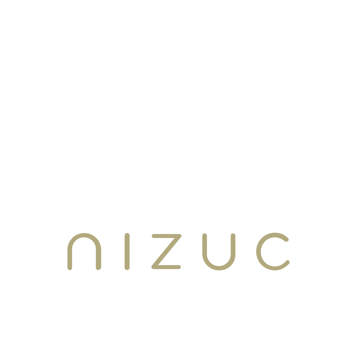 NIZUC Logo